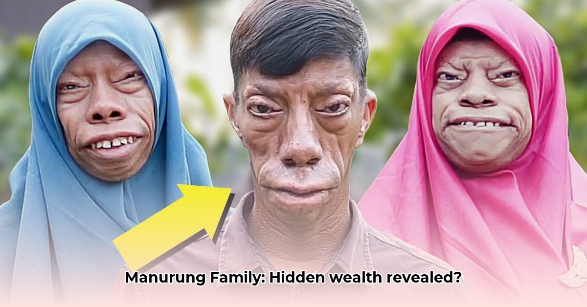 manurung-family-net-worth